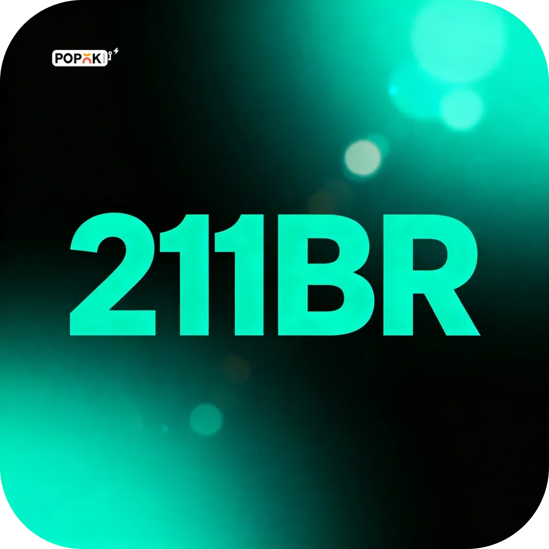 Logo da 211br
